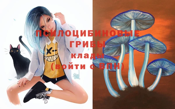 винт Арсеньев